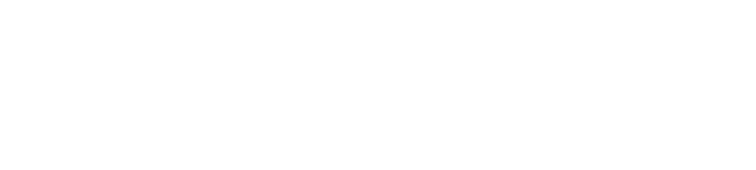 Momentum