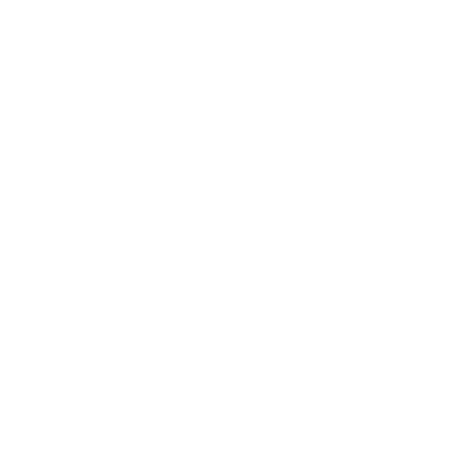 Momentum